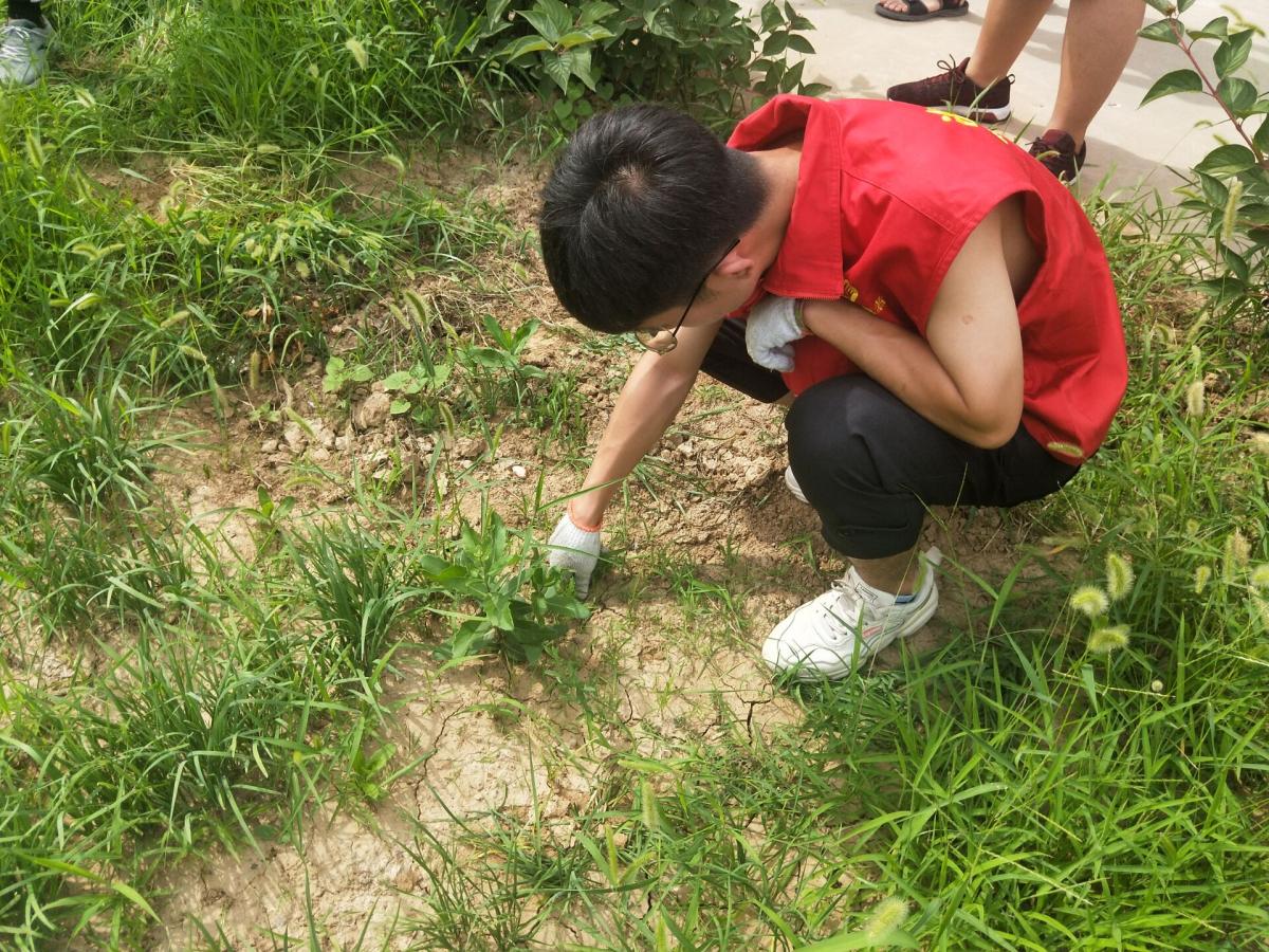 赴蓝天康复中心志愿服务队除草行动