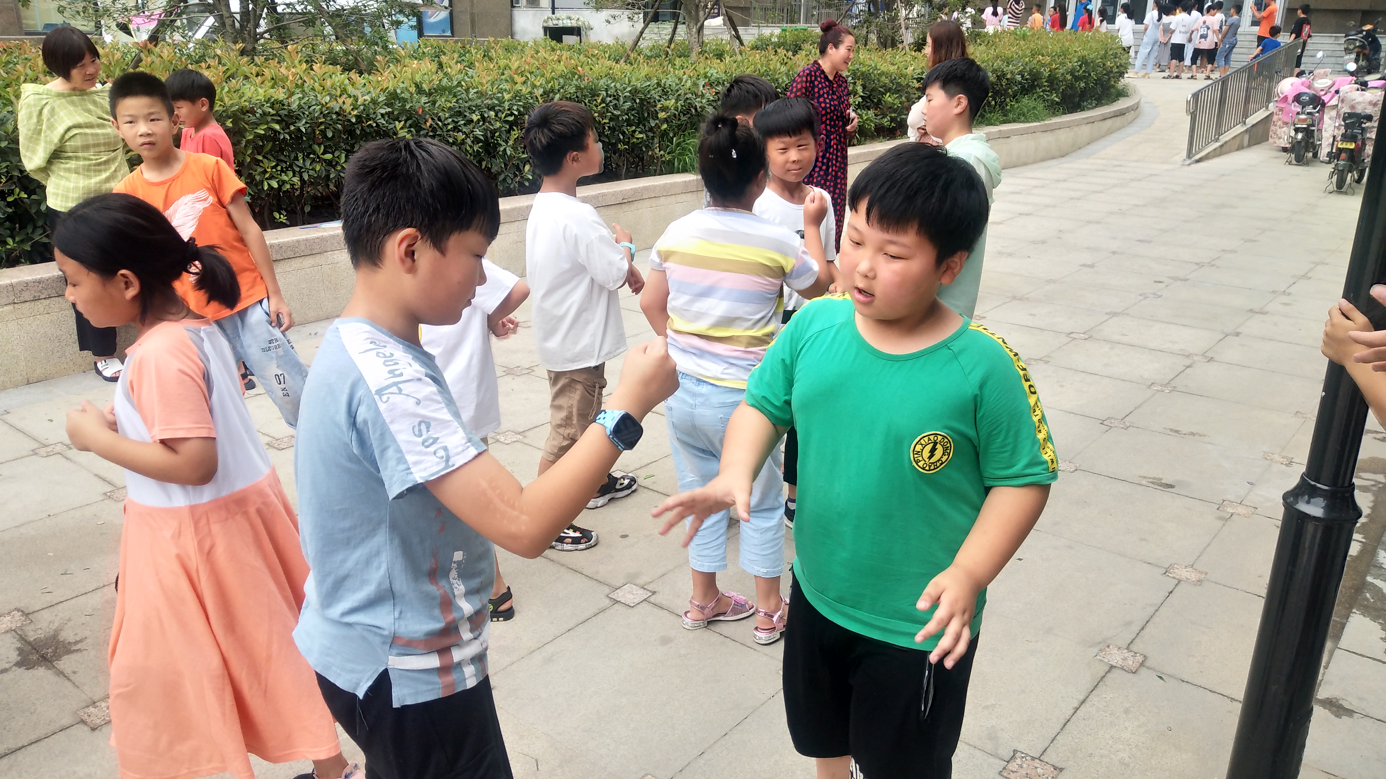 运动享人生户外青少年攀树志愿服务队纪实